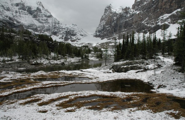 Opabin Trail